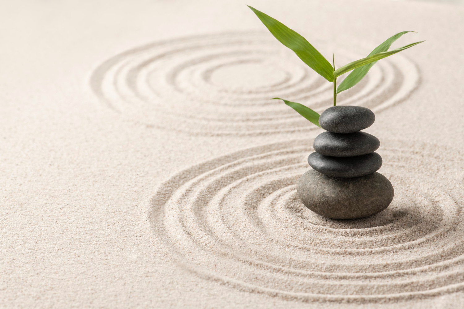 Zen garden with balanced stones